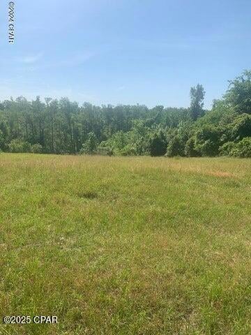 4 Spring Chase Ln, Marianna, FL 32446 - photo 2