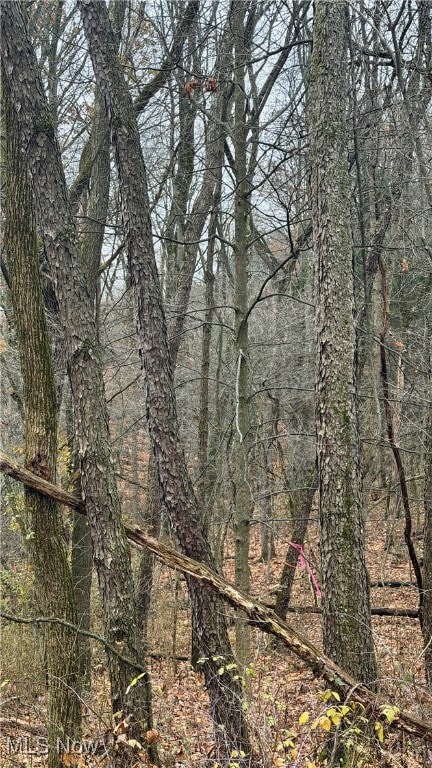 0 Surrey Dr SE, Minerva, OH 44657 - photo 6