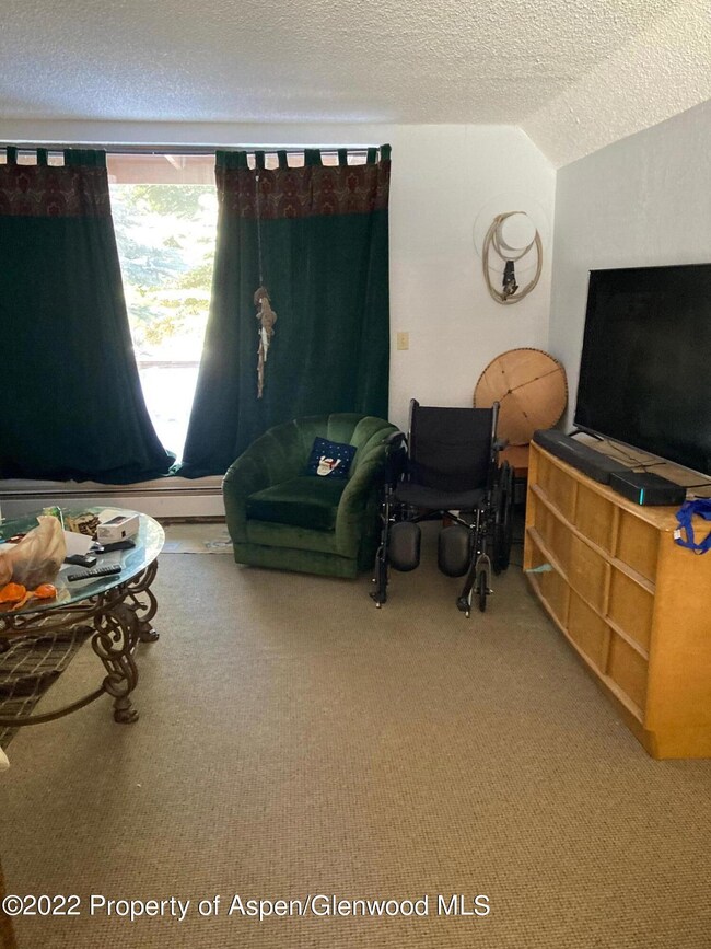 1313 Vine St unit 1313, Aspen, CO 81611 - photo 3
