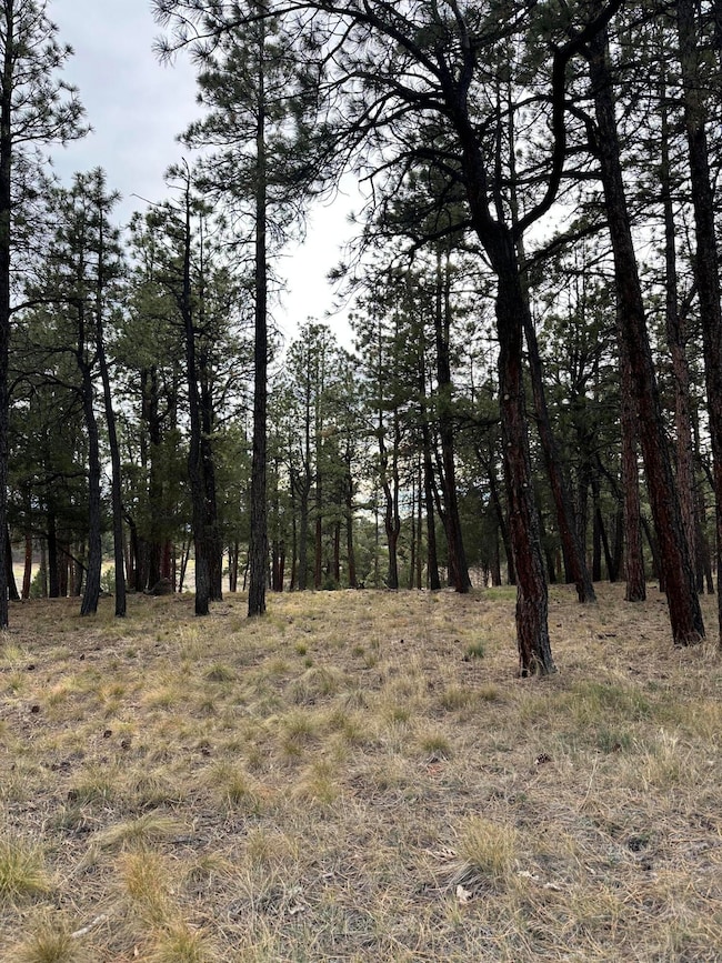 46 Marmot Ct unit 121, Ridgway, CO 81432 - photo 2