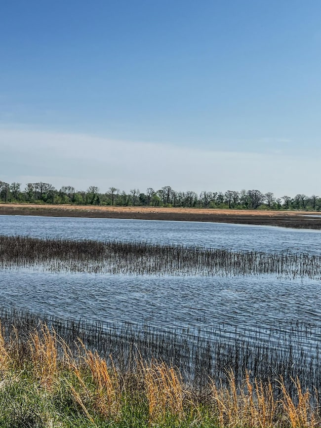 1962 acres Upper Lockhart Rd, Cord, AR 72524 - photo 4