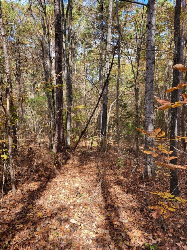 0 Bullocks Ferry Rd unit 21222623, Alpine, AL 35014 - photo 7