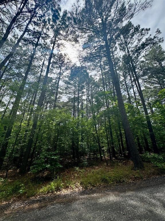 26 Mangrove Rd, Hochatown, OK 74728 - photo 6