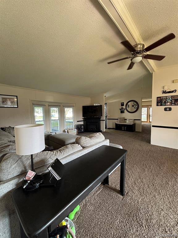 Carpeted living area with a textured ceiling, a fireplace, ceiling fan, and ornamental molding