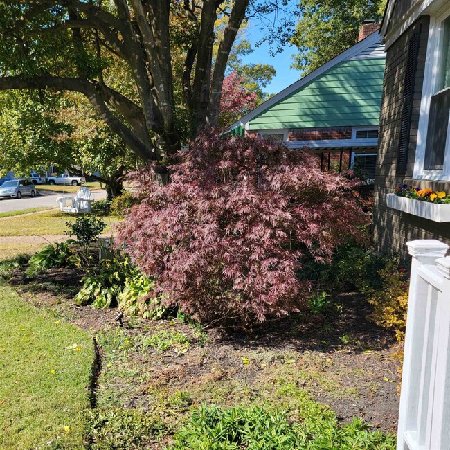 3682 Shirlwood Ave, Memphis, TN 38122 - photo 2