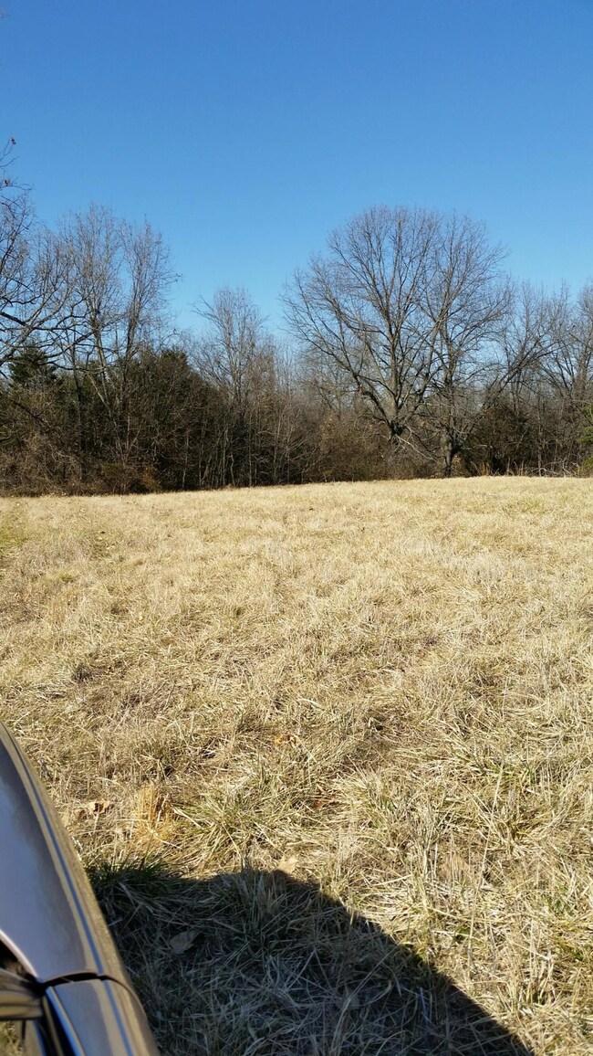 925 S Nicholas Rd, Nixa, MO 65714 - photo 6