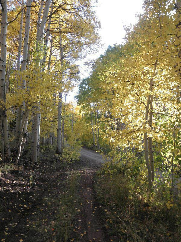 Fall Area Photo #2