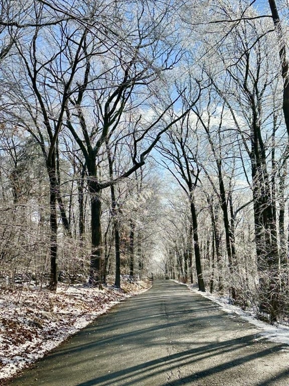 1 Burbank Rd, Sutton, MA 01590 - photo 4