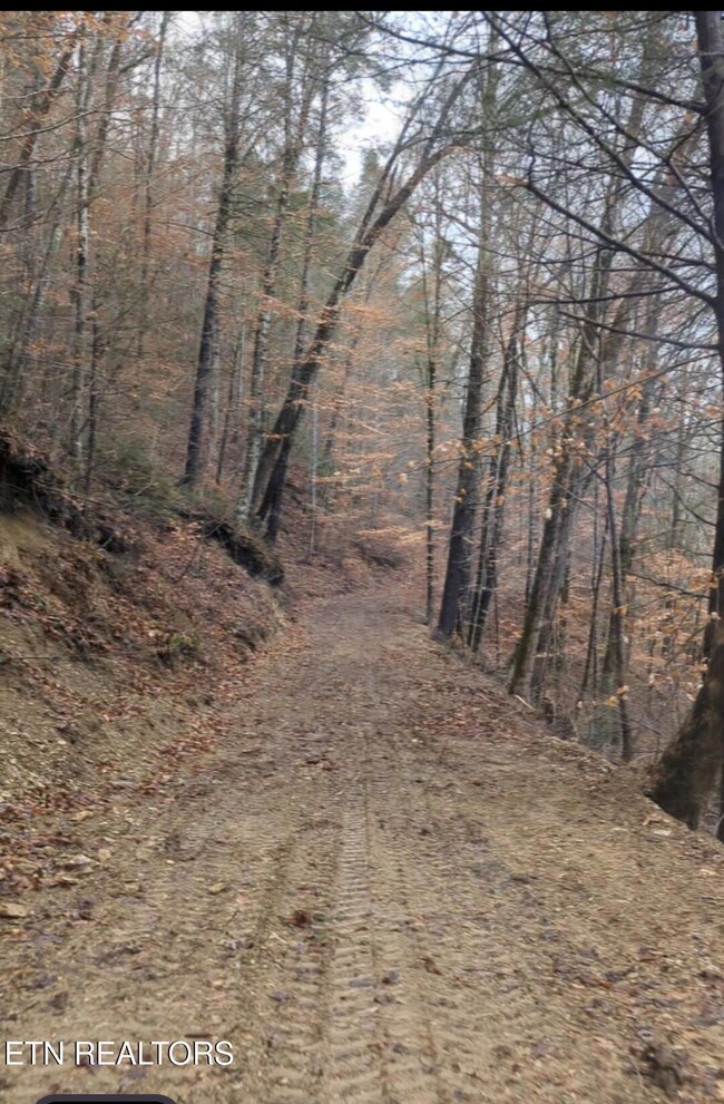 Carrs Creek