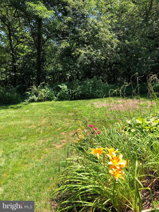 1904 Sutton Place, Mount Laurel, NJ 08054 - photo 2