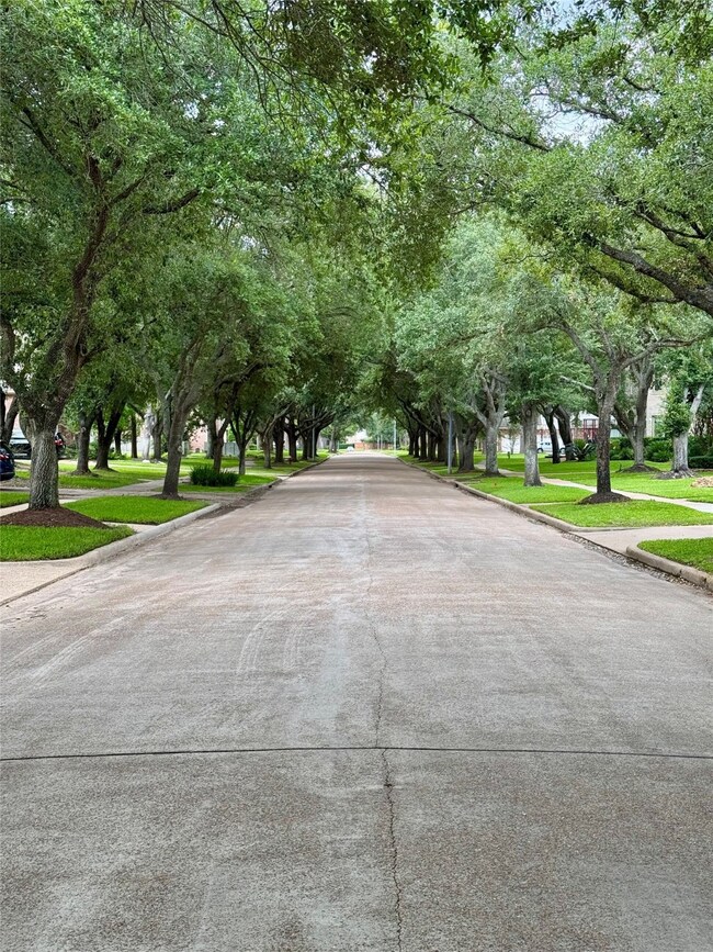 A picturesque canopy of trees shading the street b