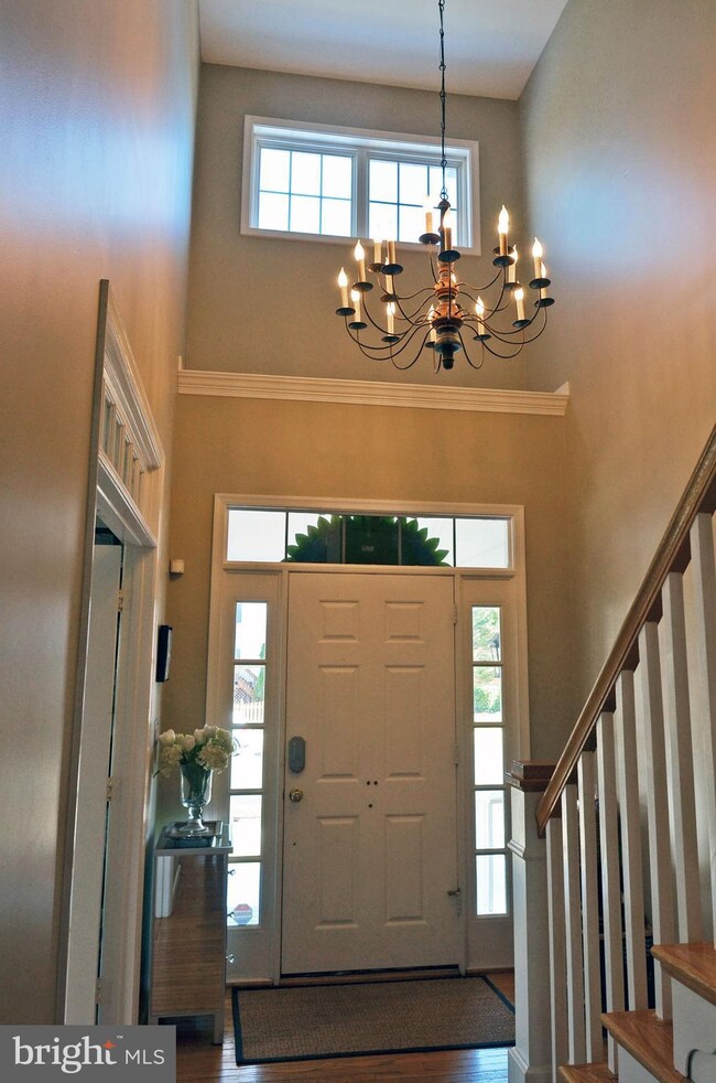 26157 Rachel Hill Dr, Chantilly, VA 20152 - photo 7