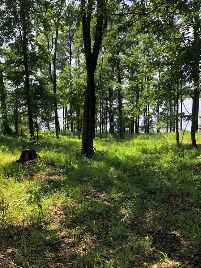 1281 County Road 755, Nacogdoches, TX 75964 - photo 3