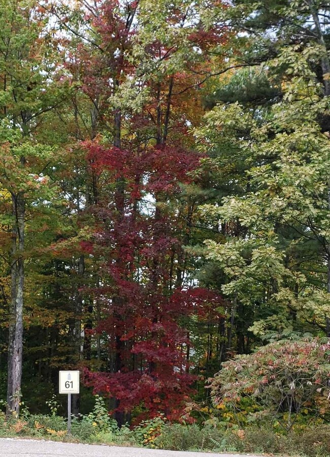 63 Deadreckoning Point unit 61, Laconia, NH 03246 - photo 2