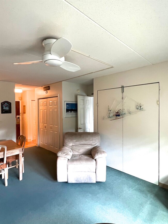 28 Packards Rd unit 311, Waterville Valley, NH 03215 - photo 6