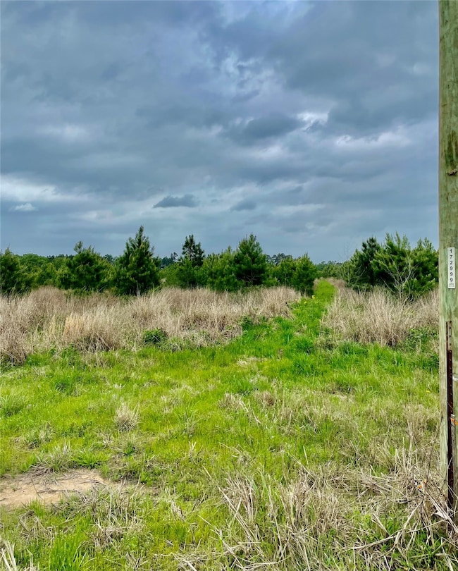 0 unit 46148677, Lovelady, TX 75851 - photo 5