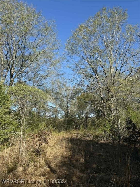 Tract 1 2nd St, Fort Coffee, OK 74959 - photo 6