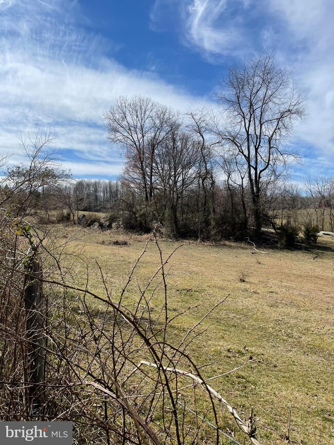 Lot 113D Stonehouse Mountain Rd, Catalpa, VA 22701 - photo 6