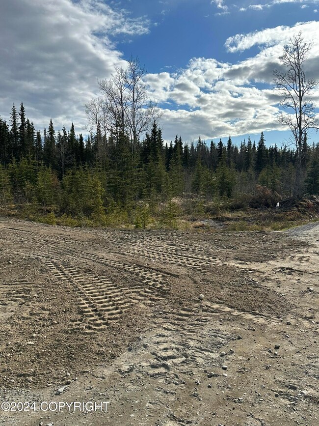53837 Tri Rd, Kasilof, AK 99610 - photo 5
