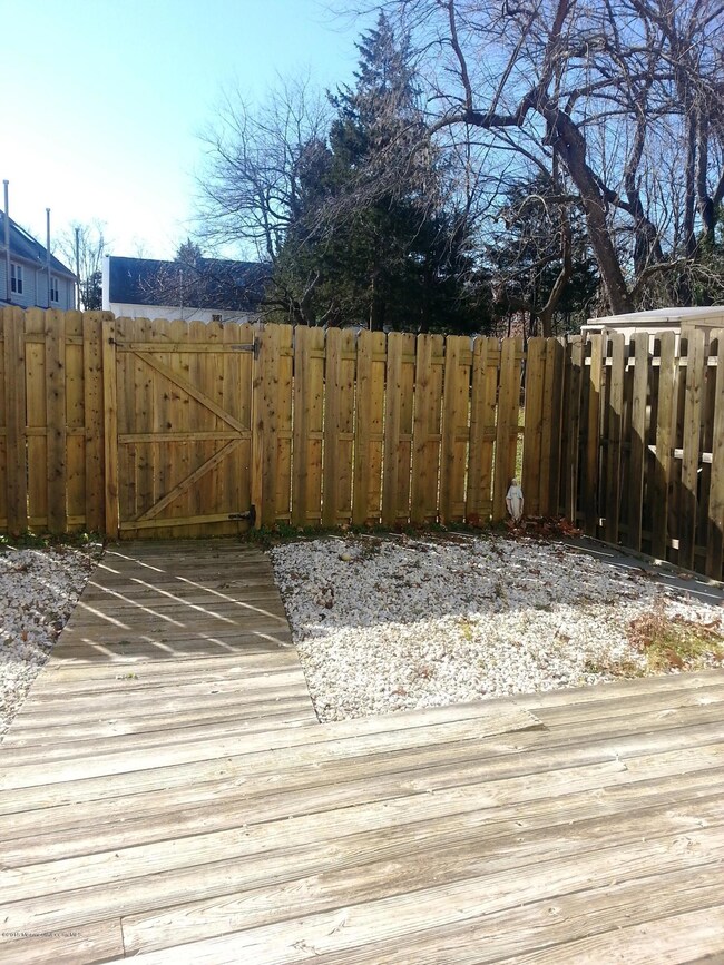 back yard 1