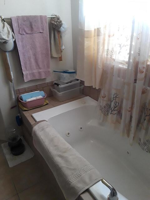 Master Bath Spa Tub
