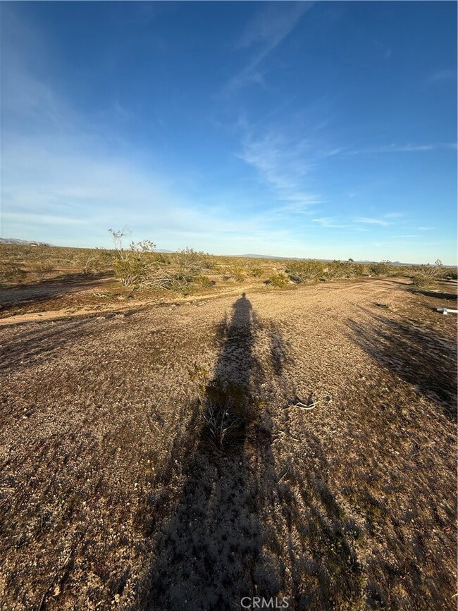 0 Vac 10th and Wonder Ave unit SR25271534, Mojave, CA 93501 - photo 5