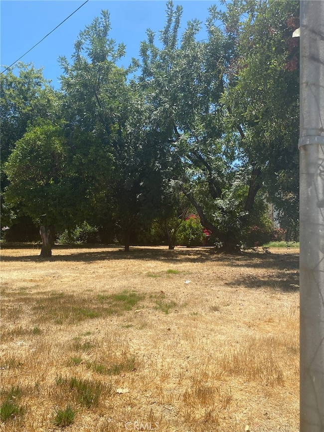 7110 Firmament Ave, Van Nuys, CA 91406 - photo 6