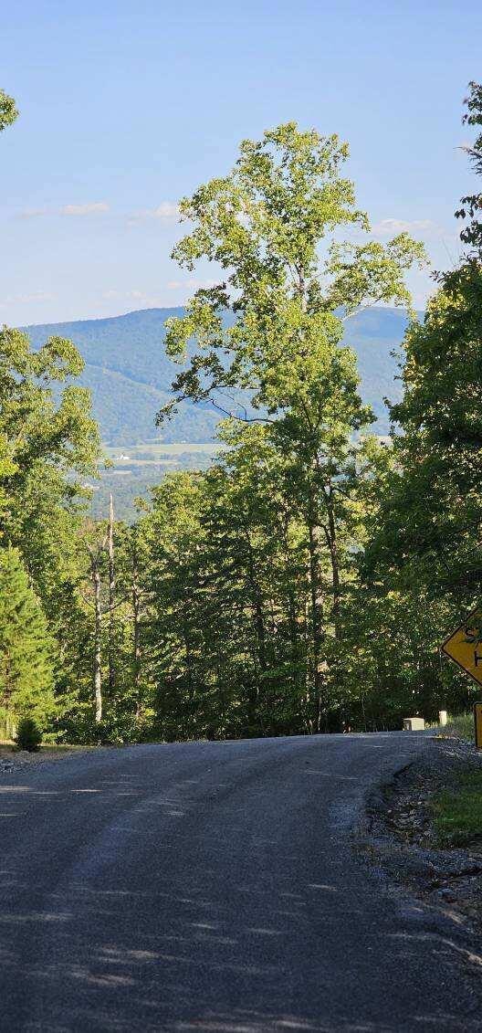 Lot 561 Bluff View Dr, Dunlap, TN 37327 - photo 3