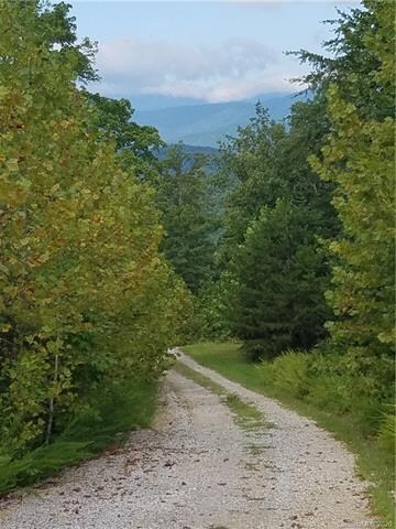 3 Dobsons Knob Loop Rd unit 3-12, and 53-57, North Cove, NC 28752 - photo 2