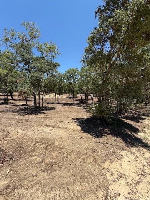 0 SE 148th Ave unit MFROM702851, Williston, FL 32696 - photo 7