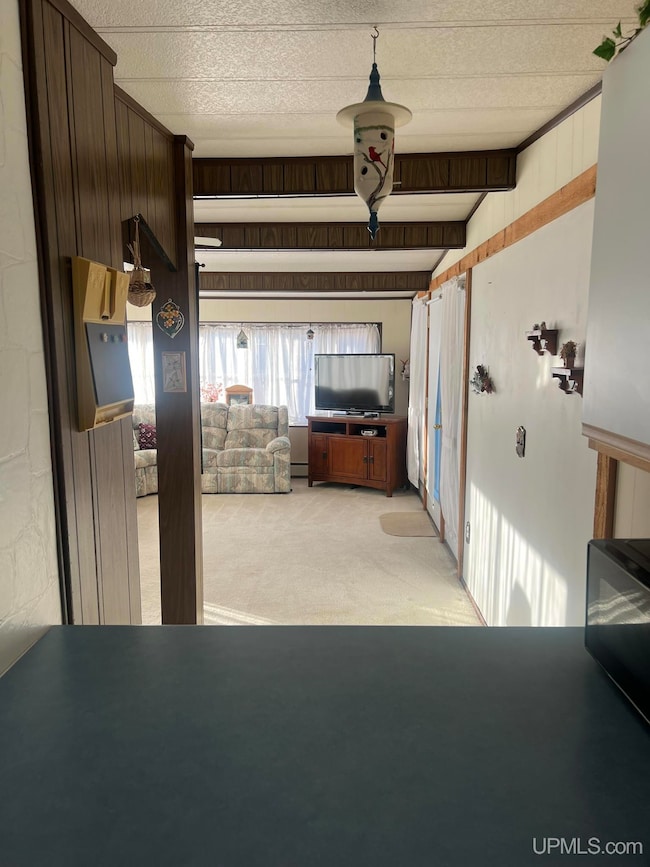 816 W Adams St, Iron River, MI 49935 - photo 6