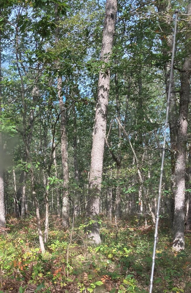 PAR 6 Cleveland Dr W, Lilley Township, MI 49309 - photo 2