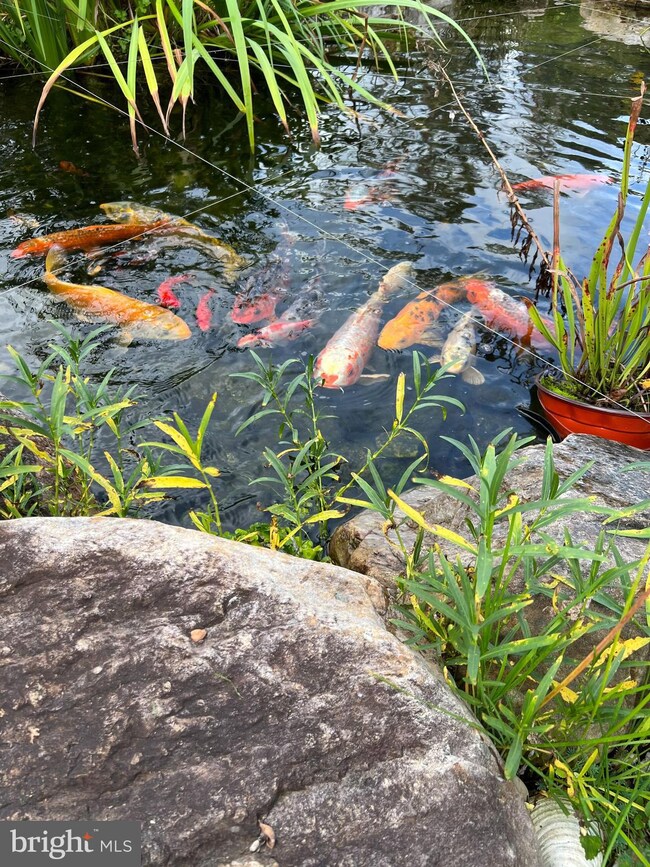 10729 Villa Way, Fredericksburg, VA 22407 - photo 3