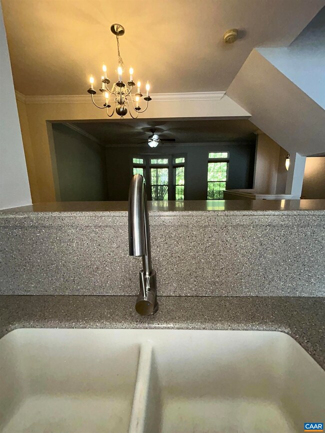 910 Rainier Rd, Charlottesville, VA 22903 - photo 7