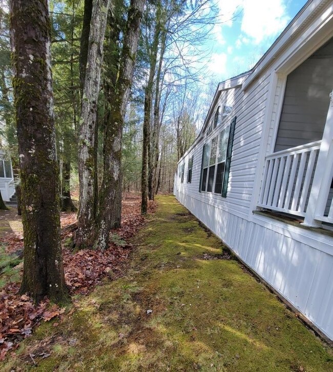 11 Diamondback Dr, Rochester, NH 03868 - photo 5