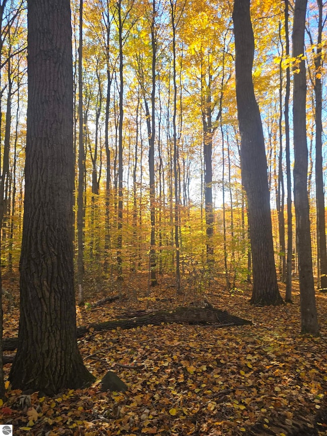 00 Stark Rd unit 17, Mancelona, MI 49659 - photo 2