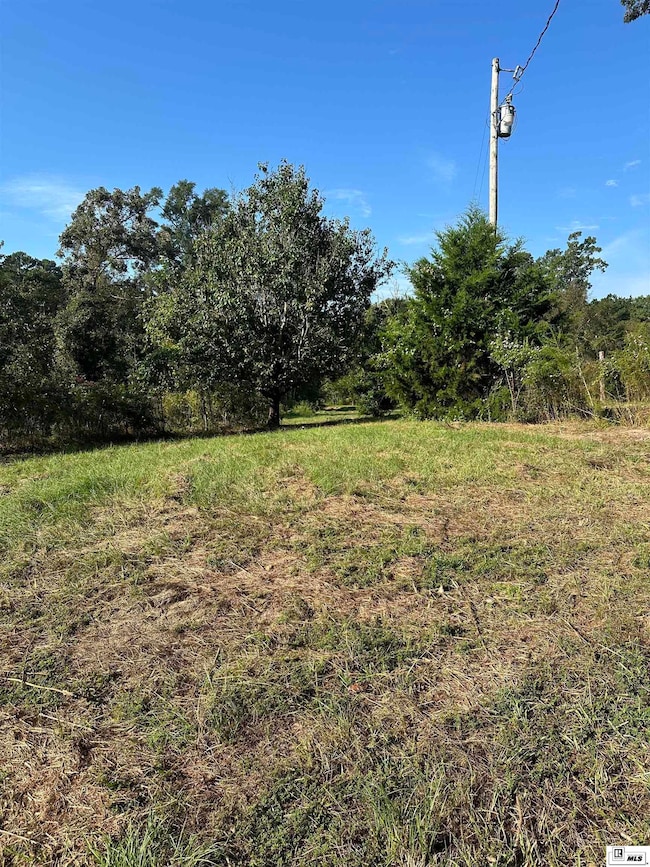 702 Pardue Loop, Jonesboro, LA 71251 - photo 5