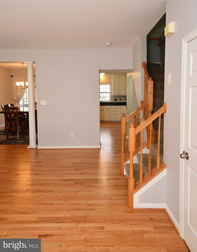 20484 Ashley Terrace, Sterling, VA 20165 - photo 6