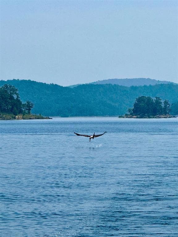 599 Timber Creek Trail, Broken Bow, OK 74728 - photo 7