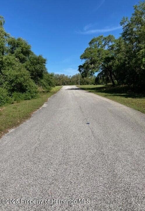 00 Scenic Lake Dr, Weeki Wachee, FL 34613 - photo 3