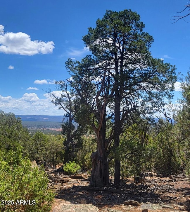 thumbnail_20250722_113452