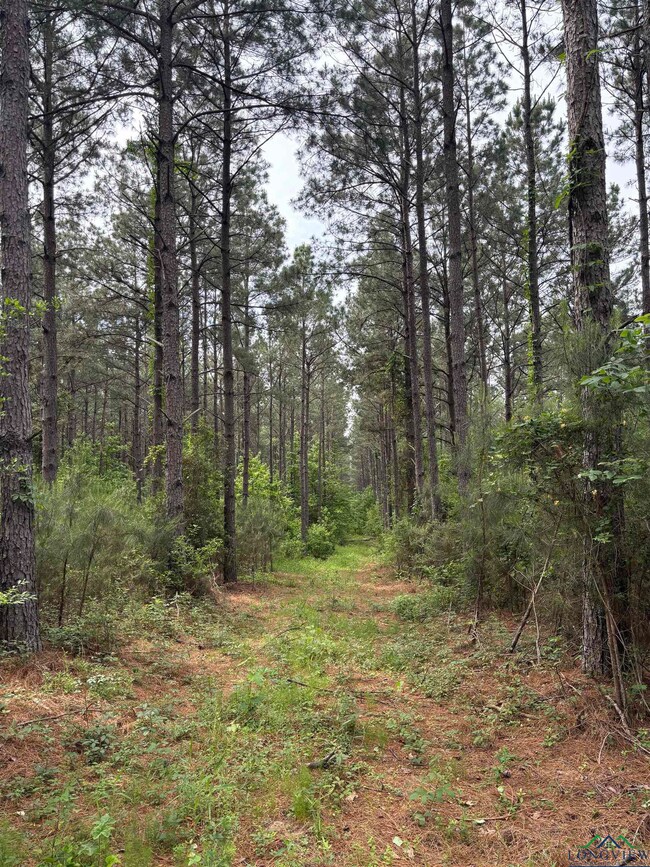 View of landscape with a forest view