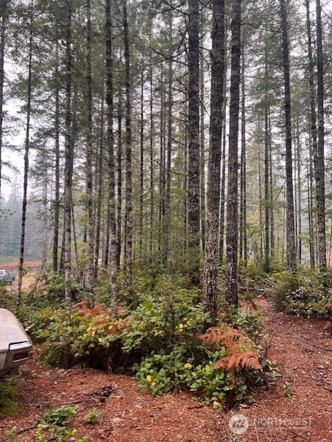 0 Tract 15 NE Dewatto Hills Rd, Belfair, WA 98528 - photo 4