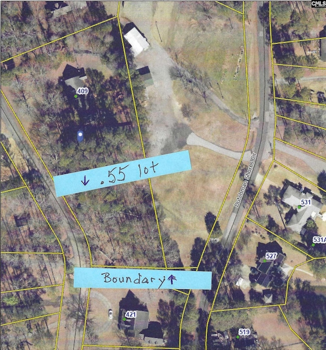 409 Dutchman Shores Cir, Chapin, SC 29036 - photo 4