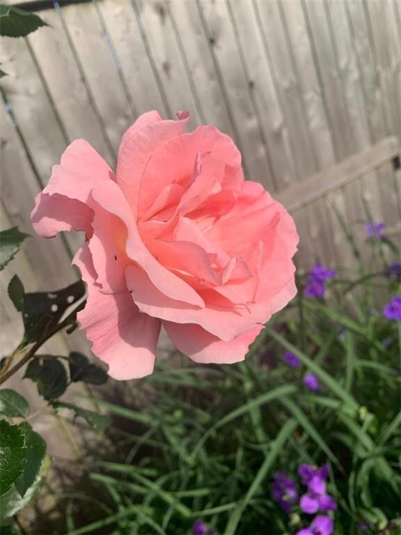 109 Kenway Ave, Warwick, RI 02889 - photo 5