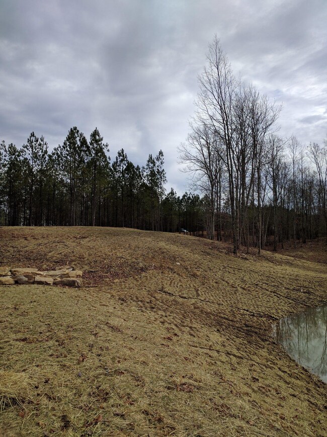0 Bear Trace Dr unit RTC2729913, Jasper, TN 37347 - photo 3