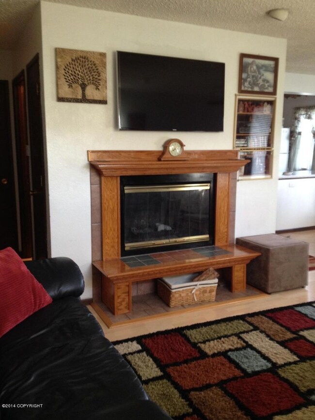 Canton Fireplace