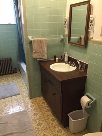 454 Green St unit 1, Cambridge, MA 02139 - photo 6