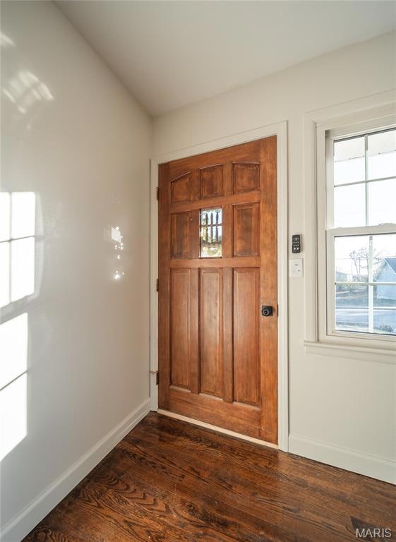 Entrance foyer featuring plenty of natural light and dark wood-type flooring