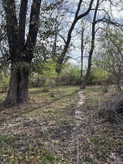IMG_3491